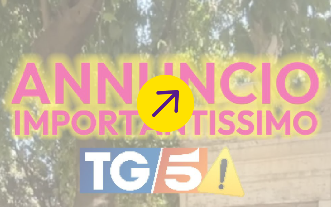 E-Cute contribuisce al TG5 Breve LIS 